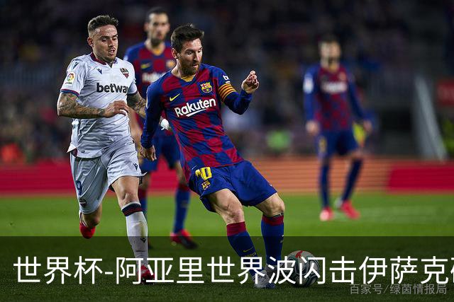 世界杯-阿亚里世界波闪击伊萨克破门 半场瑞典2-1突尼斯